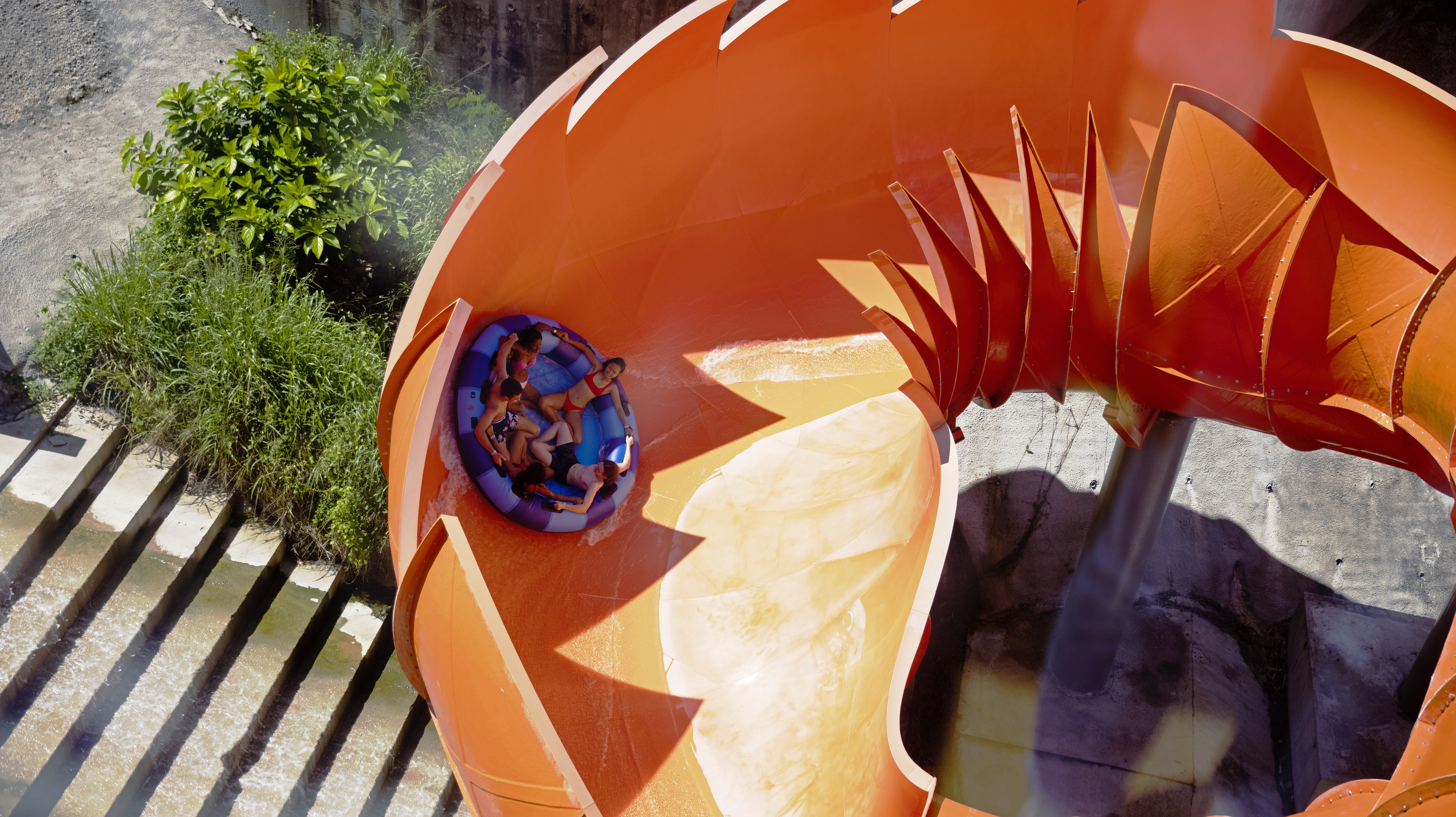 Constrictor Boomerango Squeeze Water-World Ocean Park Hong Kong